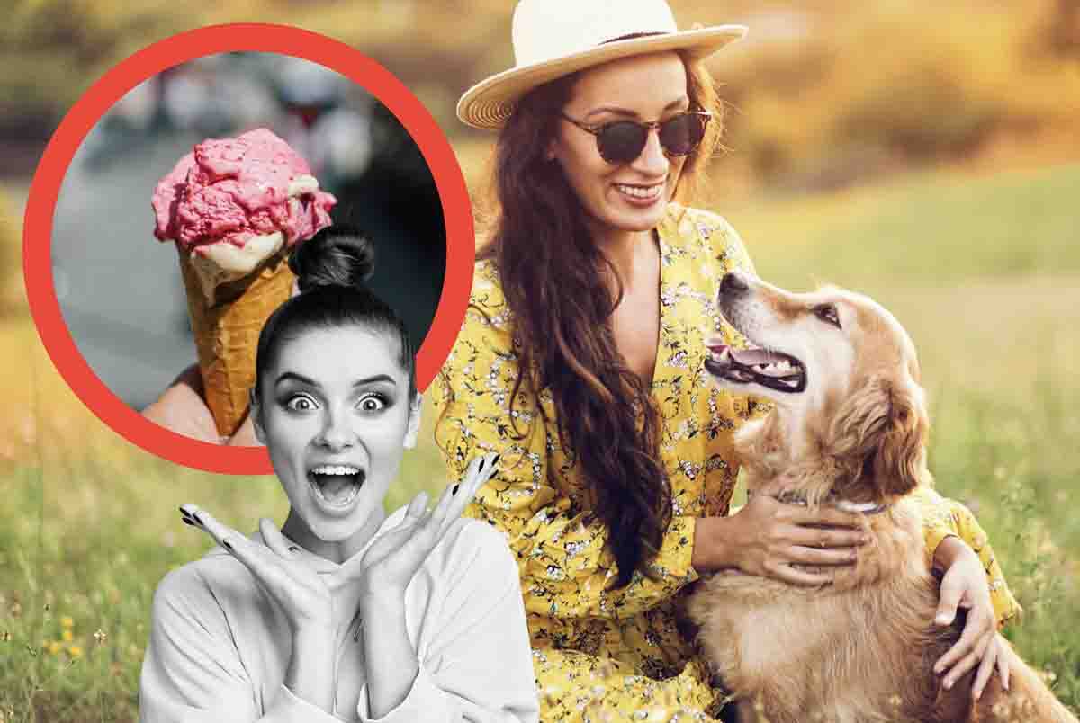 gelato gratis agli amanti dei cani