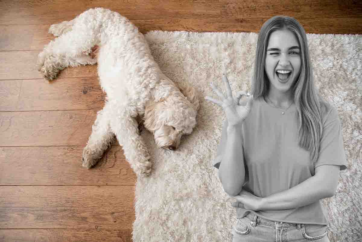 Come eliminare peli di animali dai tappeti