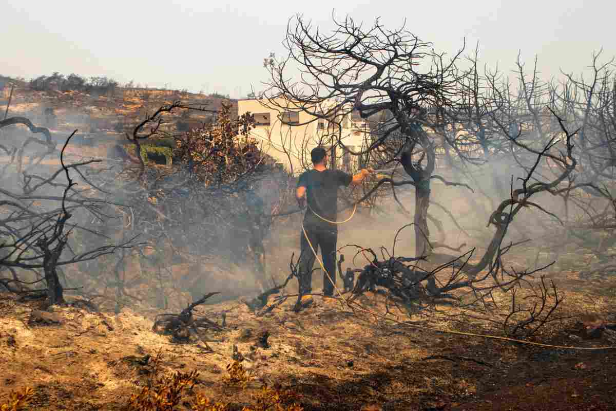 Incendi in Sicilia e Calabria, non è auto-combustione, c'è sempre l'uomo dietro a questi eventi, i motivi sono da mettere e brividi