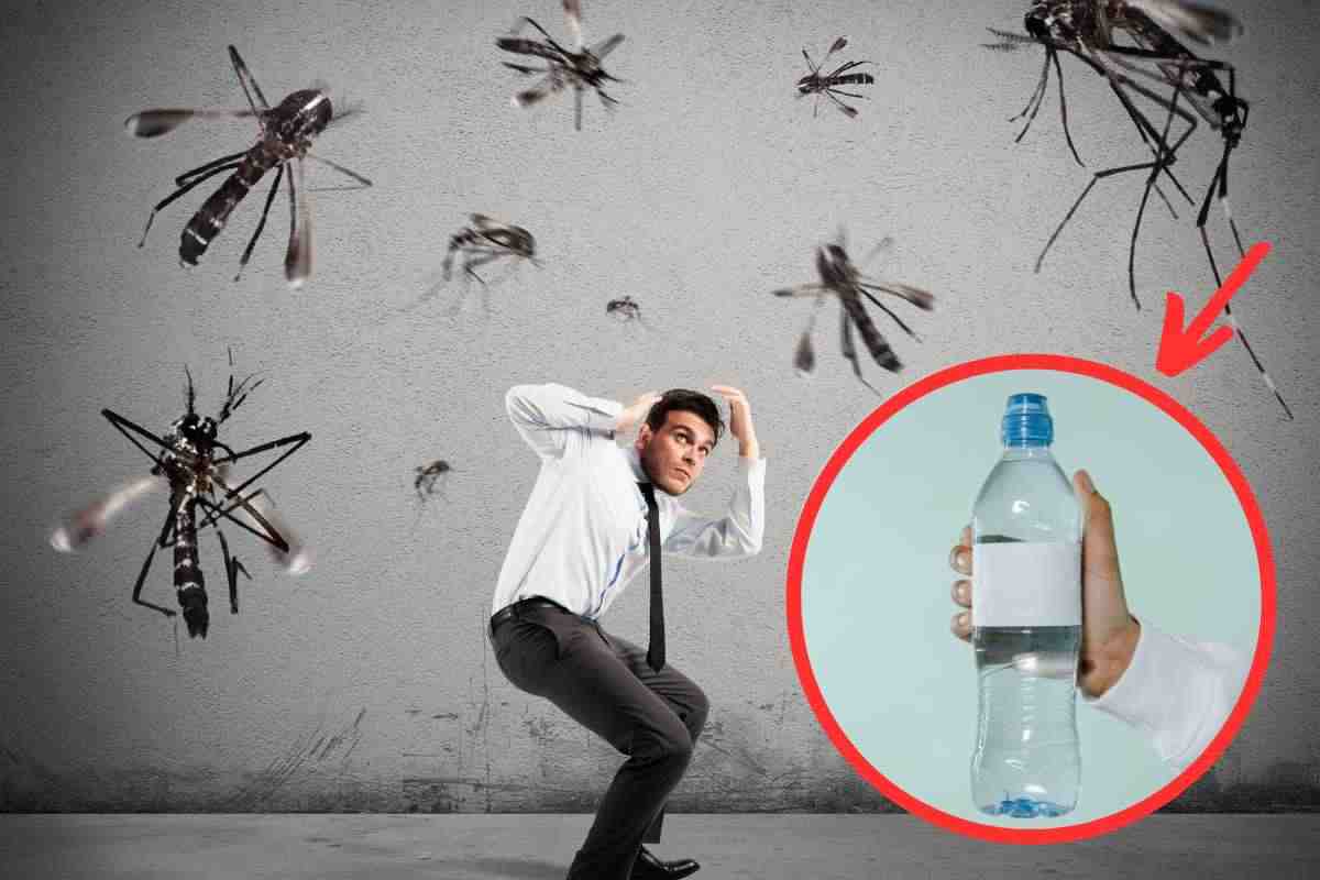 addio zanzare metodo bottiglia