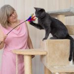 Giocare con il gatto: perché è essenziale