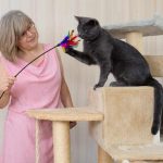 Giocare con il gatto: perché è essenziale