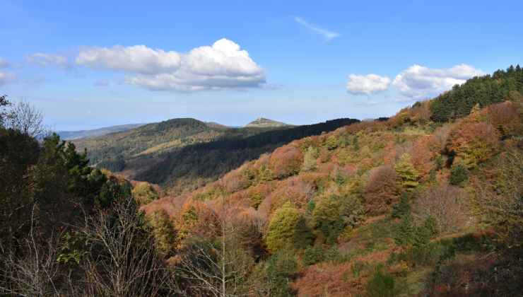 parco dei nebrodi